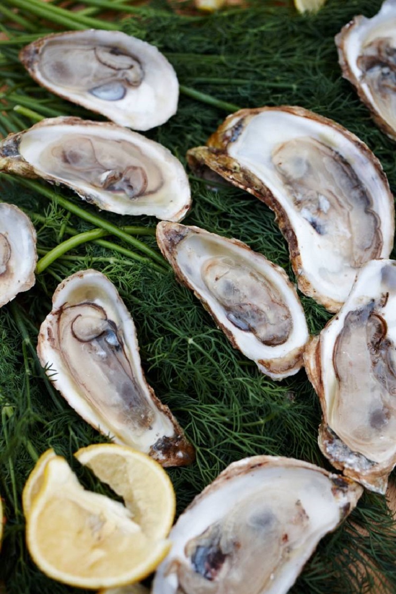 how to eat oysters