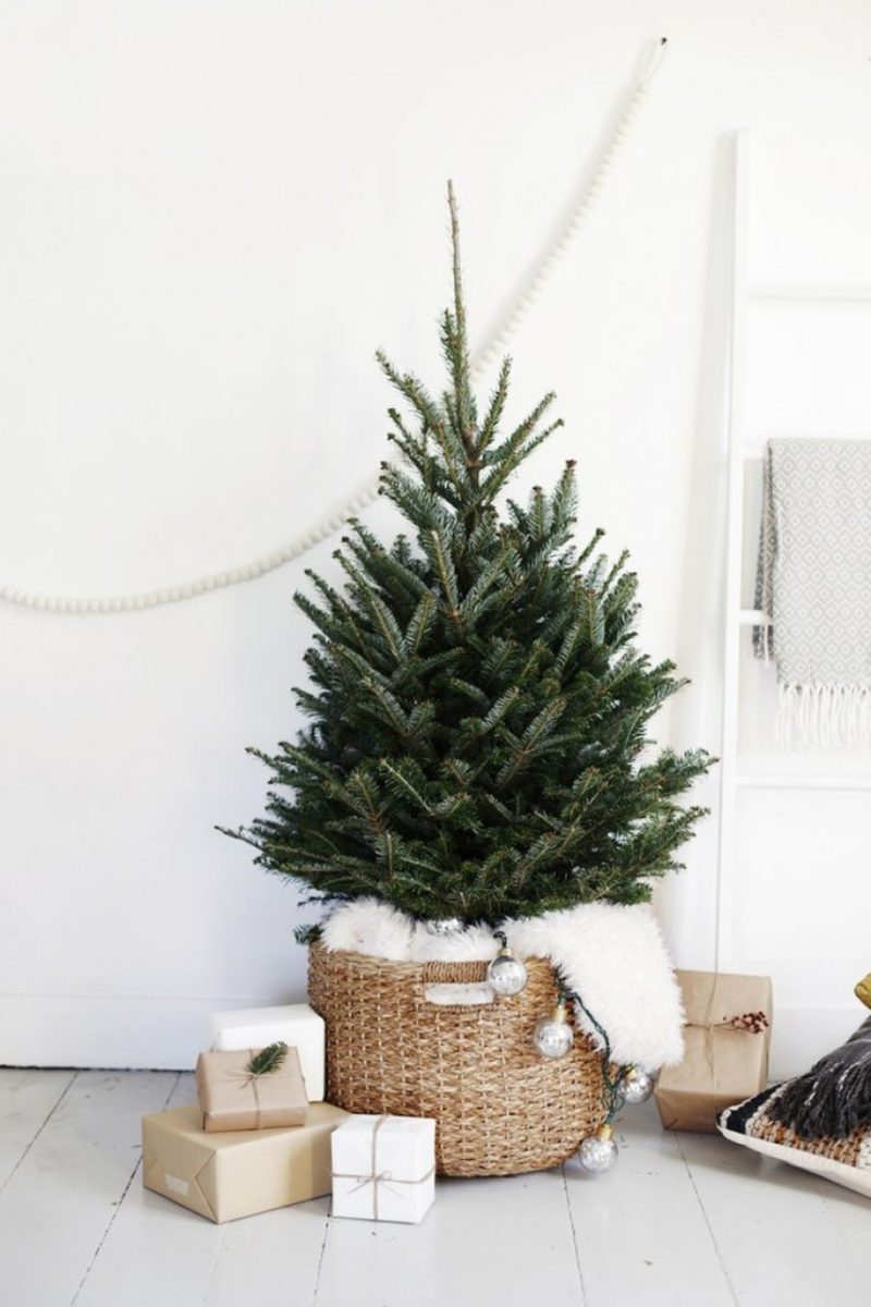 holiday_christmas_tree